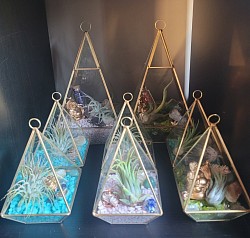 Mini life gardens available as a marker of your newness